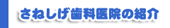 さねしげ院長の紹介