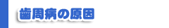 歯周病の原因