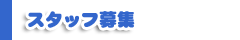 スタッフ募集 求人情報